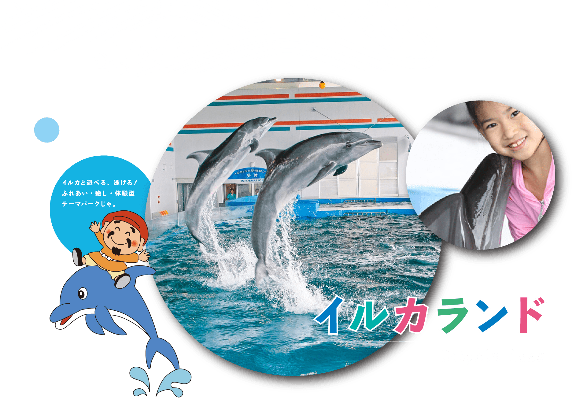 イルカランド Dolphin Land　イルカと遊べる、泳げる！ふれあい・癒し・体験型テーマパークじゃ。