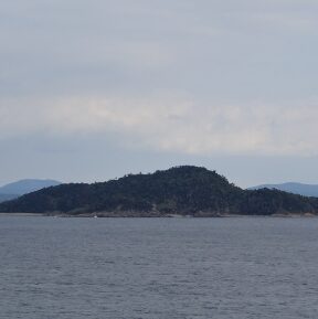 枇榔島