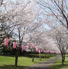 志布志大浜緑地公園